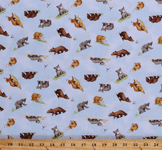 Bears Cubs You&#39;re All My Favorites Kids Blue Cotton Fabric Print BTY D785.24 - £9.44 GBP
