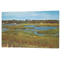 Postcard The Marshes With Wellfleet In The Background Cape Cod Massachusetts - £7.88 GBP