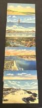 Lot Of 8 Vintage Postcards - Unposted  - Florida  - Early  1900s - £14.90 GBP