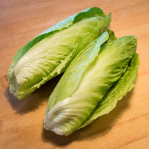 Bloomys 250 Seeds Sugar Loaf Endive Radicchio Escarole Cichorium Intybus Green V - £8.79 GBP