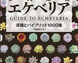 Succulent Echeveria Guide To Echeveria Japan - $39.96