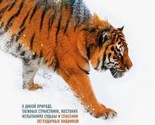 Potseluj tigritsy. O dikoj prirode, taezhnykh stranstvijakh, zhestokikh ... - $18.00