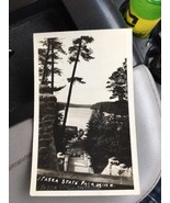 vintage postcard Circa Early 1900s Itasca State Park Mn Minn Tape On It - £11.71 GBP