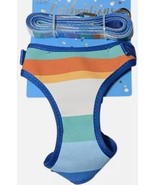 Buttons &amp; Bones Celebrations Large Dog Harness and Leash Set - $16.83 CAD