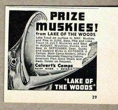1957 Print Ad Prize Muskies from Lake of the Woods Rainy River Ontario C... - $8.05