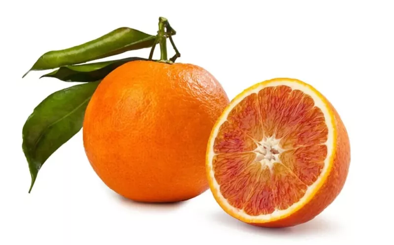 5 Tarocco Blood Orange Seeds for Garden Planting - $12.07