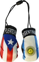 Puerto Rico and Argentina Mini Boxing Gloves - £4.63 GBP