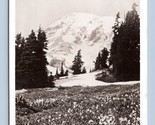 RPPC Paradise Valley Mount Rainier National Park WA Washington Postcard M16 - £5.39 GBP