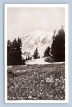 RPPC Paradise Valley Mount Rainier National Park WA Washington Postcard M16 - £5.37 GBP