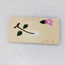 Jamaica Apple Hand Painted Handmade Magnet Kitchen Fridge - £7.98 GBP