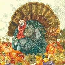 Traditional Thanksgiving Turkey 16 Ct Lunch Napkins - £2.59 GBP