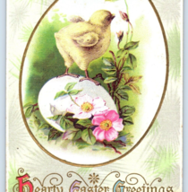 Hearty Easter Greetings Baby Chicken Egg Chic Chick Postcard Vintage - $9.95