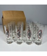 Set of 12 Jose Cuervo Tequila Mexico Shot Glasses 3.5&quot; Tall Brand New In... - £27.18 GBP
