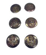 Vintage Buttons Lot Gold Bronze Tone Metal Shield Crest Military Set 6 1/2&quot; - $13.09