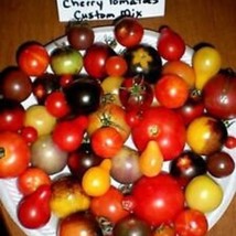 Mix Of 37 Different Kind Of Cherry Tomato See List New Fresh US Shipping - $89.98 MXN