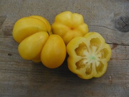 50+ Seeds Yellow Stuffer Tomato Tomatoe Vegetable Garden Edible Canning ... - £6.91 GBP