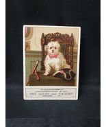 Victorian Trade Card Chamberlain &amp; Co. Dry Goods Vergennes Vermont, Dog ... - $19.03 CAD