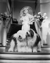 Jean Harlow In Bombshell With Old English Sheepdogs 16X20 Canvas Giclee - £55.35 GBP