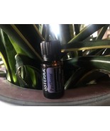 doTERRA PastTense Tension Blend 15 mL Essential Oil  NEW & SEALED Exp 11/28 - $41.95