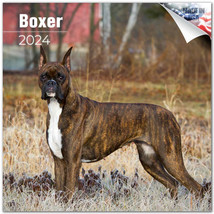 BOXER Wall Calendar 2024  Animal DOG Lover Gift - £19.77 GBP