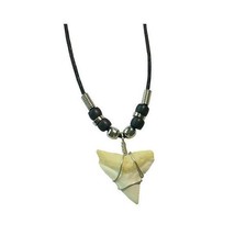 TIGER SHARK TOOTH PENDANT ON BLACK ROPE NECKLACE SILVER BEADS  #447 replica - $122.50 MXN