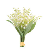 Lily of the Valley Bundle (Set of 4) - 829104 - $63.61