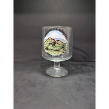 Grandfather Mountain Beer Trunk Tulip Glass, 22 oz, North Carolina Souvenir - $9.90