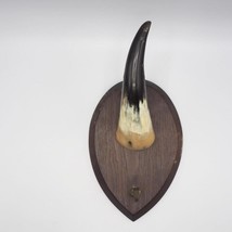 Mounted Beef Horn Mancave Garage Decor Antique-
show original title

Ori... - $187.11