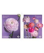 Canada  Stamp - Booklet of 10 - 2023, RANUNCULUS RENONCULE # 3376 BK 809... - $227.18 MXN