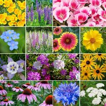 Deer Resistant Wildflower Seed Mix, 13 Species, Variety Sizes, FREE SHIP... - €1,35 EUR+