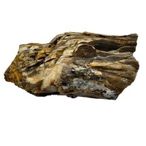 Saddle Mt Washington Petrified Wood Picture Wood Rough 9 LBS Old Stock - £44.60 GBP