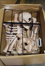 Nob Seasonal Visions 8ft Towering Skeleton Distressed Box - £256.31 GBP