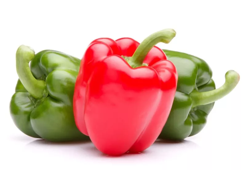 Ozark Giant Sweet Peppers Seeds (30 Seeds) Grow Delicious Bell Peppers - $12.55