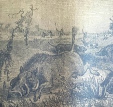 Wild Boar Hunting Party 1890 Woodcut Print Victorian Stanley In Africa DWAA2D - £31.33 GBP