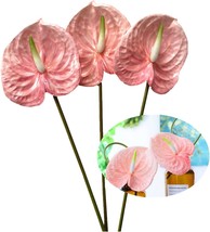 Light Pink 3 Pcs.27&quot; Artificial Anthurium Lily Flower Bouquet And Green Leaf For - £23.50 GBP