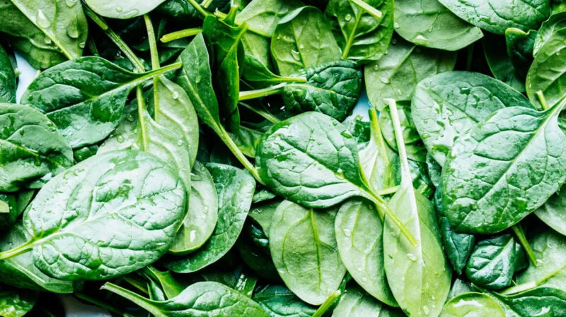GIB Spinach 10 Vegetable Seeds -  - $2.00