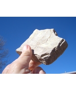 JTL JURASSIC TODILTO LIMESTONE 36,000 CPM,  20  oz. big  $35.00 &amp; 12.80 ... - $35.00