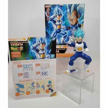 Bandai Hobby Entry Grade #3 SSGSS Vegeta Dragon Ball, Multi - $13.83