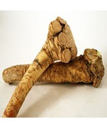Horseradish Roots Natural, 1/2 pound, (No International Orders) Ready Fo... - £7.03 GBP