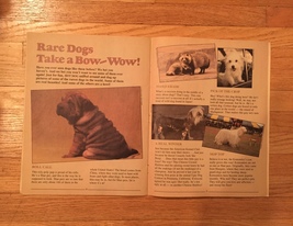 Hot dog! magazine #1 "Meet Mork and Mindy" 1979 Scholastic Magazines image 6