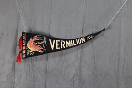 Vintage Tourist Pennant - Vermillion Alberta Jackfish Graphic - Felt Pen... - £23.15 GBP