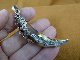 AK-TOOTH-101 Fossil 1000 yrs old Wolf tooth 2-1/2&quot; silver filigree flame... - €50,56 EUR