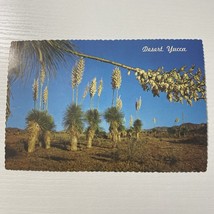 Postcard Desert Yucca, or Spanish Bayonet - $2.39