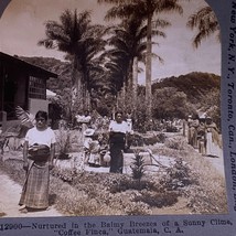 Antique 1905 Stereoview Photo Card Women Children Coffee FINA Guatemala ... - $13.95