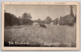 Chillicothe OH Edgewater Camp The Orchard Ohio c1930 Postcard F46 - £30.85 GBP