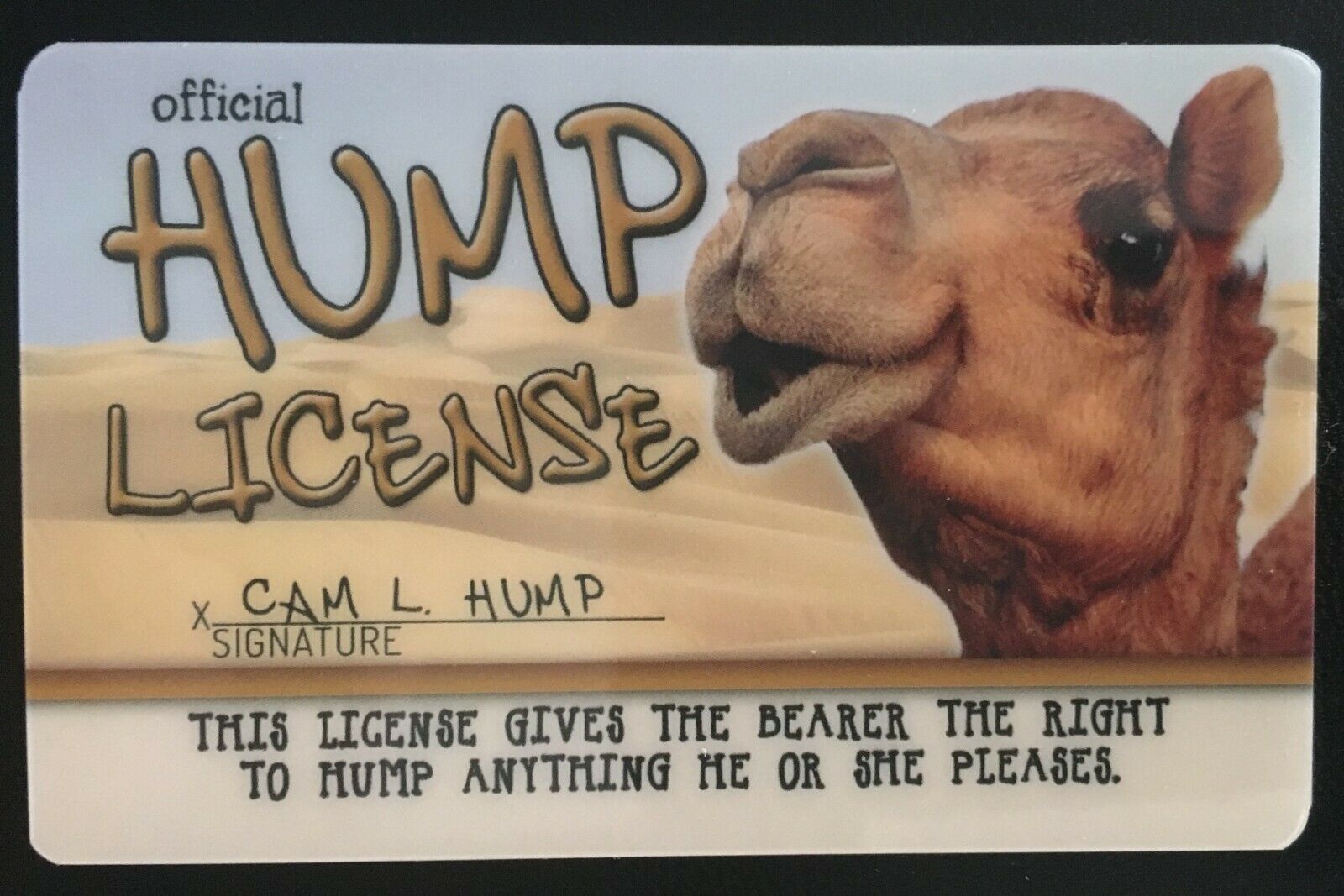 HUMP DAY Camel Wednesday card Drivers Hump License Whoop Mike Guess What... - $8.91