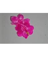 4&quot; Potted Satin Beauty~Christmas Cactus Well Rooted Starter Plant~~ Schl... - $666.08 MXN