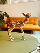 Museum Quality Real Deer Fawn Taxidermy Mount  (Odocoileus virginianus) - $1,500.00