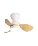 GESUM Ceiling Fan with Lights, 22 lnch Small Ceiling Fan with Light 3 Re... - $103.21 CAD