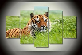 Siberian Tiger High Grass Five Piece No Frame Canvas Multi Panel Home Decor Wall - $30.50+